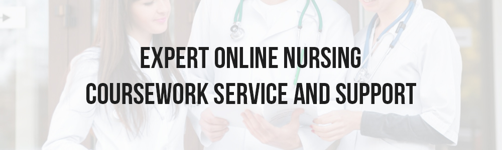 Expert Online Nursing Coursework Service And Support
