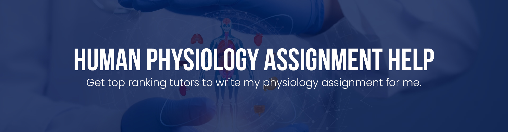 Human Physiology Assignment Help
