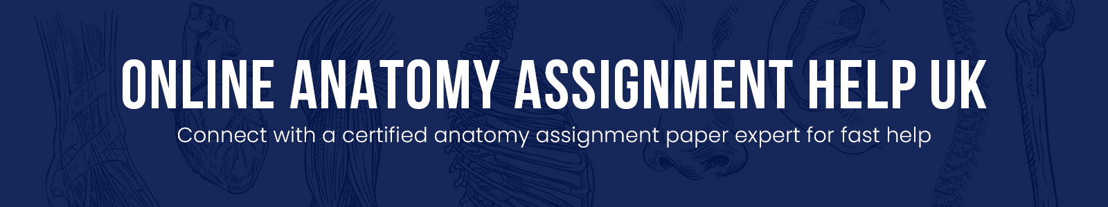 Online Anatomy Assignment Help UK