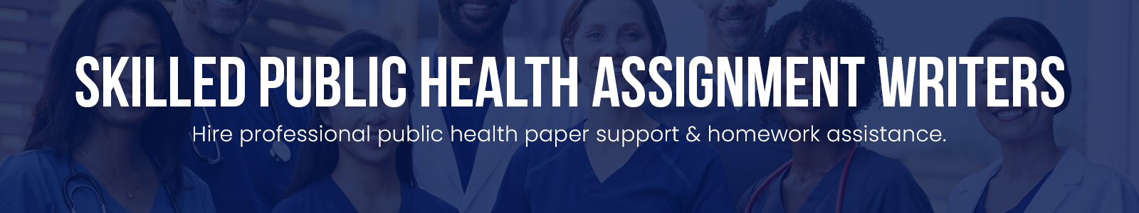 Skilled Public Health Assignment Writers